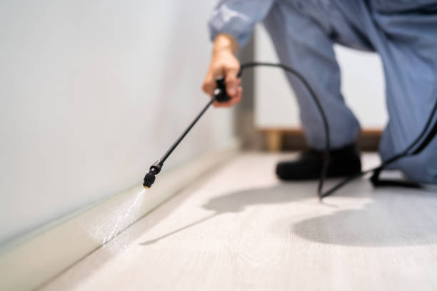 Licensed Fumigation Services service in Rouse, CA - Nex Pest Control