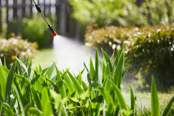 24/7 Emergency Fumigation Services experts in Rouse, CA