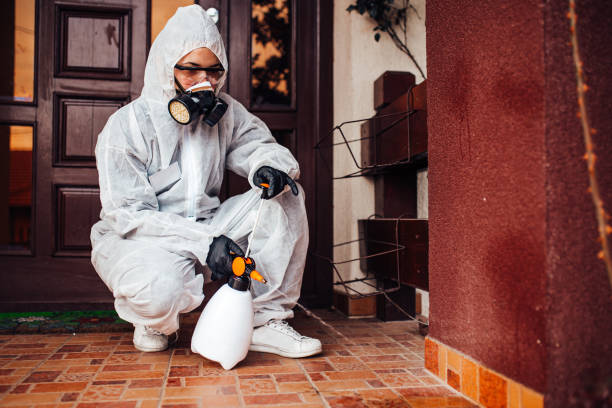 Reliable Fumigation Services contractor in Rouse, CA by Nex Pest Control