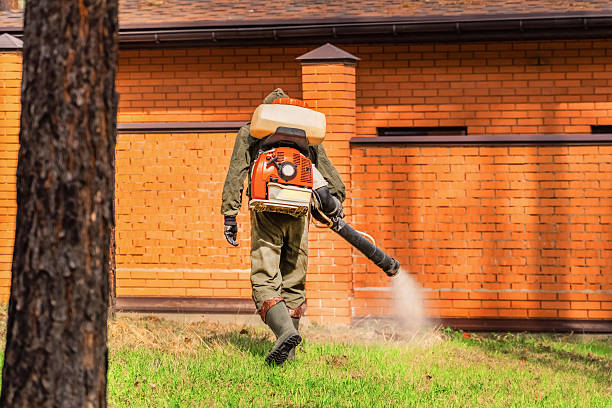 Top rated local Fumigation Services specialists in Rouse, CA